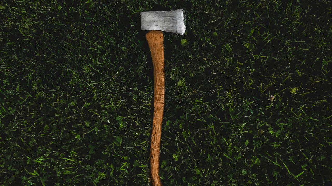 What Are the Most Famous Axes for Wood Chopping?